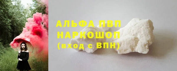 молекула духа Новозыбков